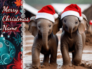 GIF: Merry Christmas Ya Filthy Animal